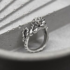 Silver Wrapped Tiger Ring